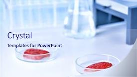  Presentation with meat - PPT theme with dishes on table at laboratory background and a sky blue colored foreground