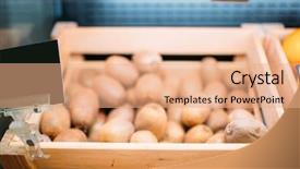  Presentation with free on genetically modified food - Amazing slide set having display boxes - box with fresh kiwi backdrop and a coral colored foreground