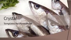  Presentation with frozen fish - Audience pleasing presentation consisting of display of fish on ice backdrop and a mint green colored foreground