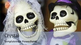  Presentation with wife - PPT theme consisting of displaying human anatomy - husband and wife halloween skull background and a light blue colored foreground