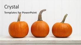  Presentation with displaying - Amazing PPT layouts having displaying various colorful - three small pumpkins backdrop and a white colored foreground