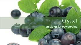  Presentation with blueberries - Colorful slides enhanced with disposition - fresh blueberries with green leaves backdrop and a  colored foreground