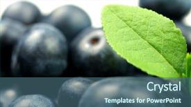  Presentation with blueberries - Theme featuring disposition - fresh blueberries with green leaves background and a  colored foreground