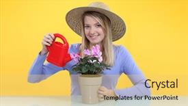  Presentation with plant - Audience pleasing presentation theme consisting of disposition - woman watering a pot plant backdrop and a yellow colored foreground