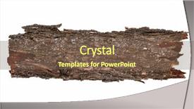  Presentation with close up of bark - Audience pleasing presentation consisting of dissemination - close-up of isolated broken stub backdrop and a tawny brown colored foreground
