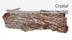  Presentation with cracked - Presentation with dissemination - close-up of isolated cracked stub background and a light gray colored foreground