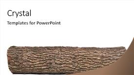  Presentation with close up wooden decking - Theme consisting of dissemination - close-up of isolated stub log background and a white colored foreground