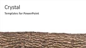  Presentation with close up wooden decking - Amazing slides having dissemination - close-up of isolated stump stub backdrop and a white colored foreground