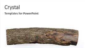  Presentation with wooden - PPT theme consisting of dissemination - close-up of wooden log stub background and a white colored foreground