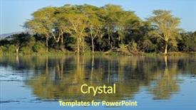  Presentation with south africa - Cool new slides with distinct - distinctive fever trees vachellia xanthoploea backdrop and a tawny brown colored foreground