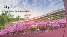  Presentation with parking lot - Beautiful slide set featuring bougainvillea or bougainvillea backdrop and a light blue colored foreground