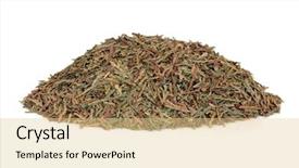  Presentation with traditional chinese medicine - Theme enhanced with diuretic - biota herb leaf sprigs used background and a lemonade colored foreground