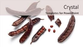  Presentation with carob - Cool new slide deck with diuretic - carob bean pods and seeds backdrop and a lemonade colored foreground