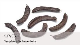  Presentation with carob - Presentation enhanced with diuretic - whole carob pods on white background and a light gray colored foreground
