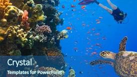  Presentation with coral reef - Theme with diver explore a coral reef background and a ocean colored foreground