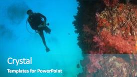  Presentation with coral reef - Slides featuring diver explores underwater coral reef background and a teal colored foreground