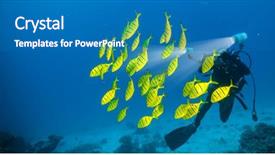  Presentation with electric yellow fish - Presentation design enhanced with diver photographer exploring sea bottom background and a teal colored foreground