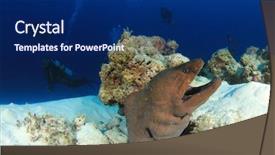  Presentation with divers - Cool new theme with scuba divers and giant moray eel backdrop and a navy blue colored foreground
