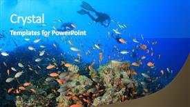  Presentation with divers - PPT layouts enhanced with divers swim over coral reef background and a teal colored foreground