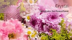  Presentation with purple - PPT theme with diverse-assortment-of-purple-blooms background and a  colored foreground