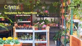  Presentation with nursery - PPT theme having diverse-range-of-plants background and a tawny brown colored foreground