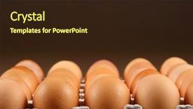  Presentation with eggs egg carton egg box - Beautiful slides featuring diversification - 24 eggs in tray backdrop and a wine colored foreground