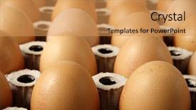 Presentation with eggs egg carton egg box - Cool new theme with diversification - two dozens of brown eggs backdrop and a  colored foreground