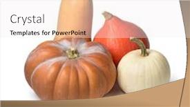  Presentation with taste - Beautiful slide set featuring diversity in shape and taste of fresh pumpkins isolated on white background backdrop and a white colored foreground