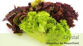  Presentation with diversity - Theme with diversity-of-sorts-lettuce-isolated background and a yellow colored foreground
