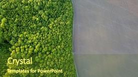  Presentation with forest road green - Amazing PPT layouts having dividers - aerial view from the drone backdrop and a tawny brown colored foreground