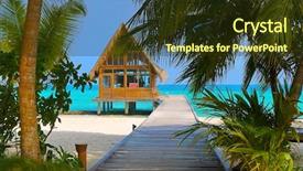  Presentation with debate club - Beautiful presentation featuring diving club on a tropical backdrop and a tawny brown colored foreground