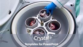  Presentation with addict - PPT theme featuring division of blood of addict background and a gray colored foreground