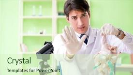  Presentation with gmo - Beautiful presentation design featuring dna bird - lab assistant testing gmo chicken backdrop and a  colored foreground