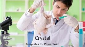  Presentation with gmo - Colorful PPT theme enhanced with dna bird - lab assistant testing gmo chicken backdrop and a  colored foreground
