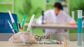  Presentation with gmo - PPT theme featuring dna bird - lab assistant testing gmo chicken background and a  colored foreground