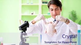  Presentation with gmo - Cool new PPT layouts with dna bird - lab assistant testing gmo chicken backdrop and a sky blue colored foreground