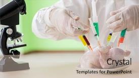  Presentation with gmo - Presentation design enhanced with dna bird - lab assistant testing gmo chicken background and a  colored foreground