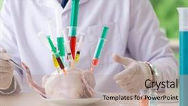  Presentation with gmo - Slide set featuring dna bird - lab assistant testing gmo chicken background and a  colored foreground