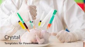  Presentation with gmo - Theme enhanced with dna bird - lab assistant testing gmo chicken background and a  colored foreground