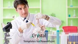  Presentation with gmo - Slides having dna bird - lab assistant testing gmo chicken background and a lemonade colored foreground