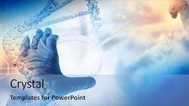  Presentation with human - Presentation theme featuring dna cell - close up image of human background and a light blue colored foreground