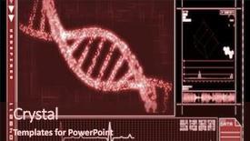  Presentation with interface - Presentation having dna helix red digital interface background and a wine colored foreground