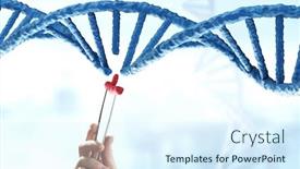  Presentation with molecules - Amazing PPT layouts having dna-molecules-design-with-female backdrop and a sky blue colored foreground