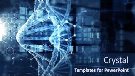  Presentation with molecules - Amazing theme having dna-molecules-on-the-beautiful backdrop and a ocean colored foreground