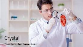  Presentation with legal brief evidence - Slide set having dna phone - expert criminologist working background and a lemonade colored foreground