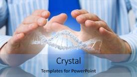  Presentation with couples holding hands - PPT layouts enhanced with dna research - hands of businessman holding background and a  colored foreground