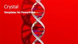  Presentation with dna - Beautiful presentation design featuring dna backdrop and a crimson colored foreground