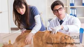  Presentation with vet - Audience pleasing slides consisting of doctor-and-assistant-checking-up backdrop and a coral colored foreground