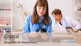  Presentation with voice assistant - Presentation design having doctor and assistant in vet background and a  colored foreground