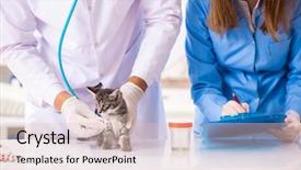  Presentation with vet - Beautiful slide deck featuring doctor and assistant in vet backdrop and a lemonade colored foreground